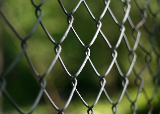 jardín de la malla de alambre/los 25m Diamond Chain Link Fence For de la alambrada de 25-100m m