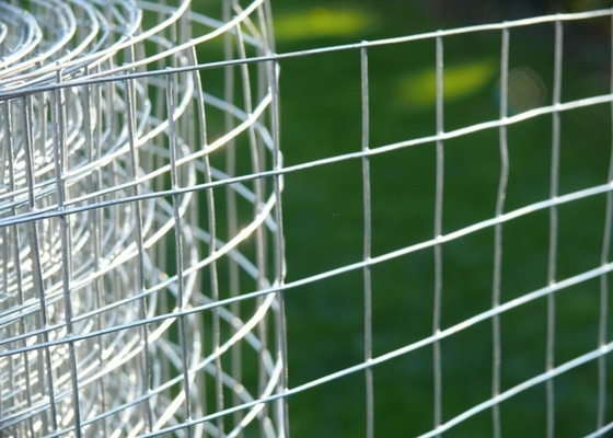 304 316 alambre de acero inoxidable alambre de metal de Mesh Fence/de 0.5m-3M Mesh Roll